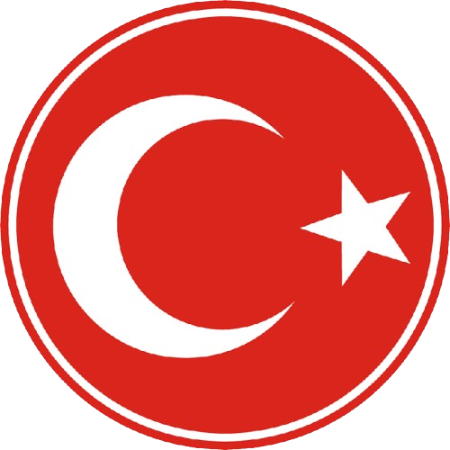Milli Maç Modu