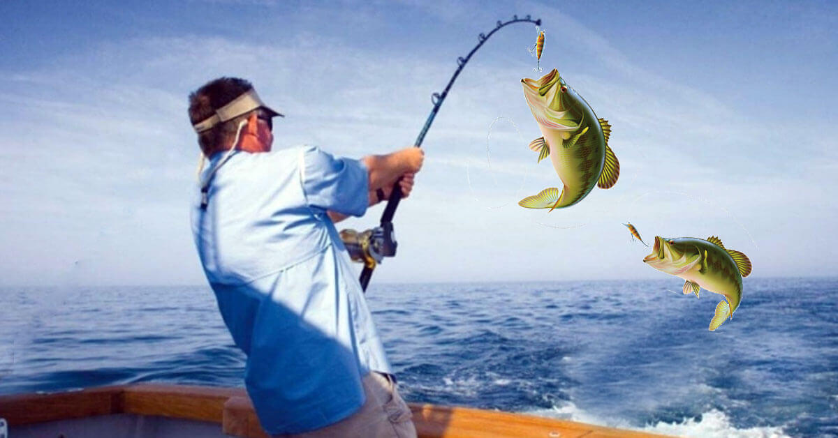 arvgfmw.jpg