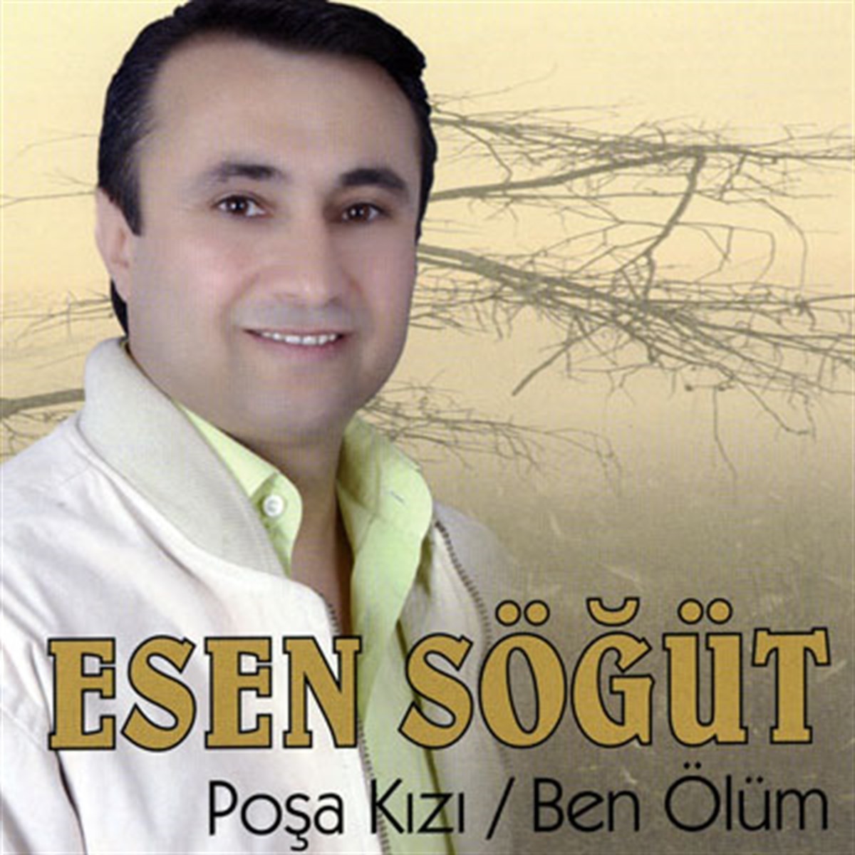 Resim