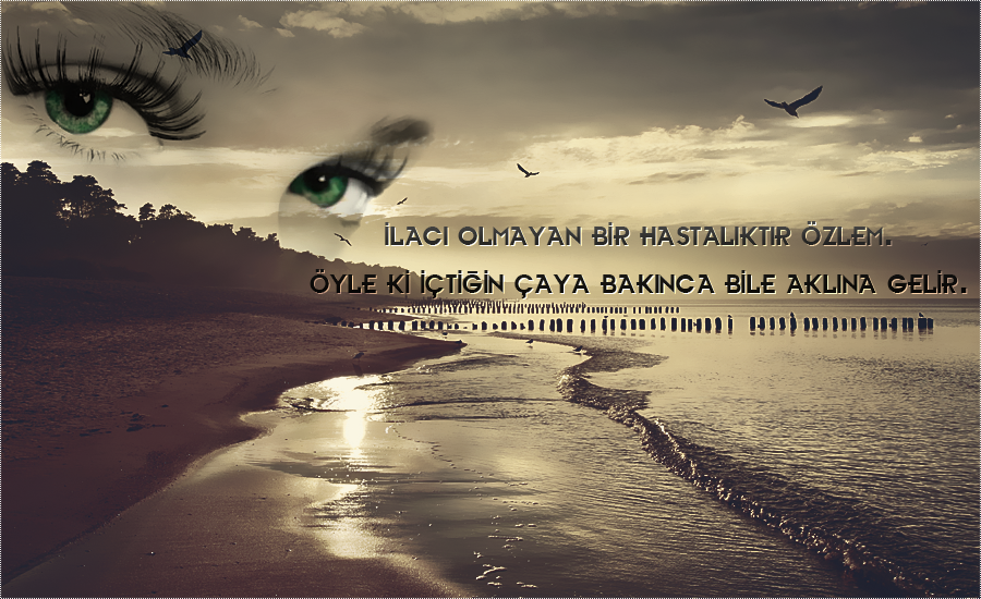 Photoshop Cs6 Mixed