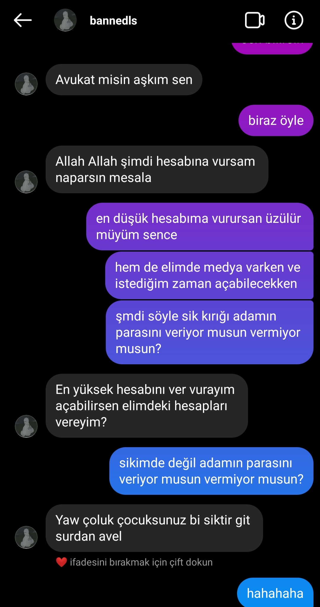 bs8dhe.jpg