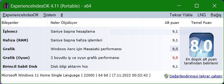 Resim