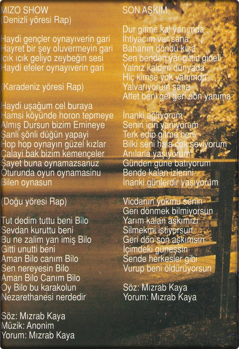 Resim