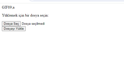 cmyri40.jpg cmyri40.jpg