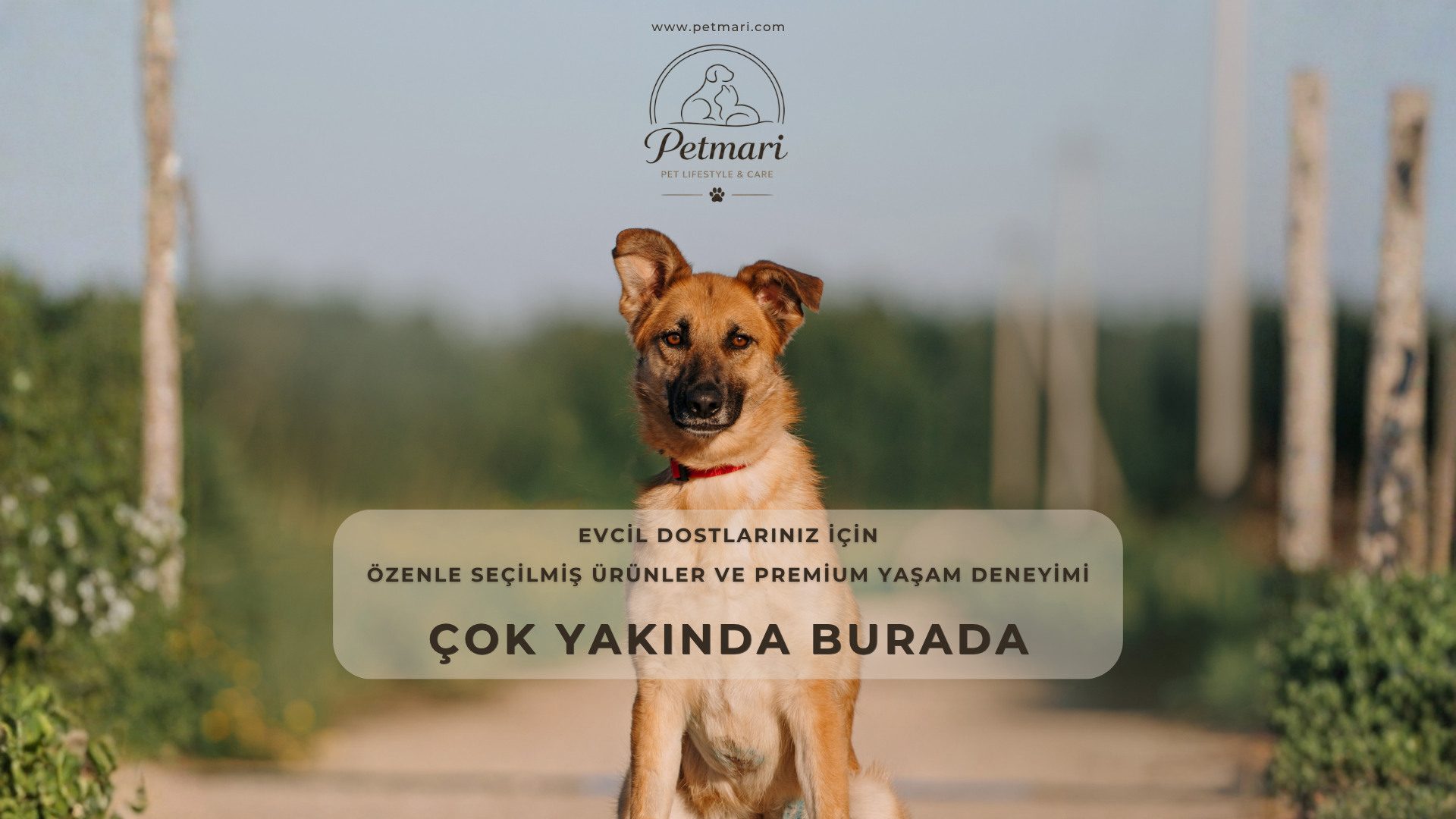 Petmari