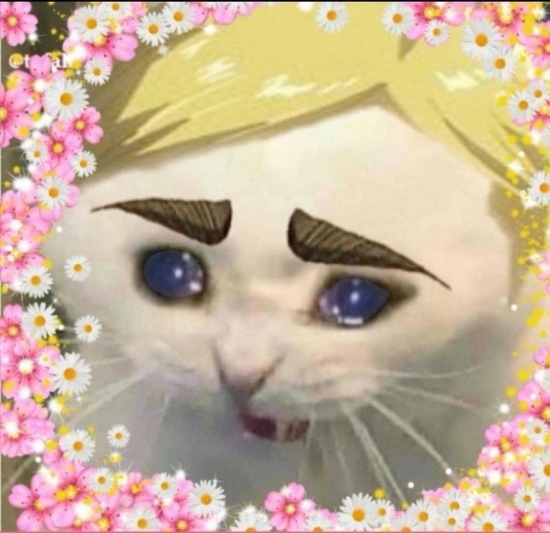 cpgvTH.jpg