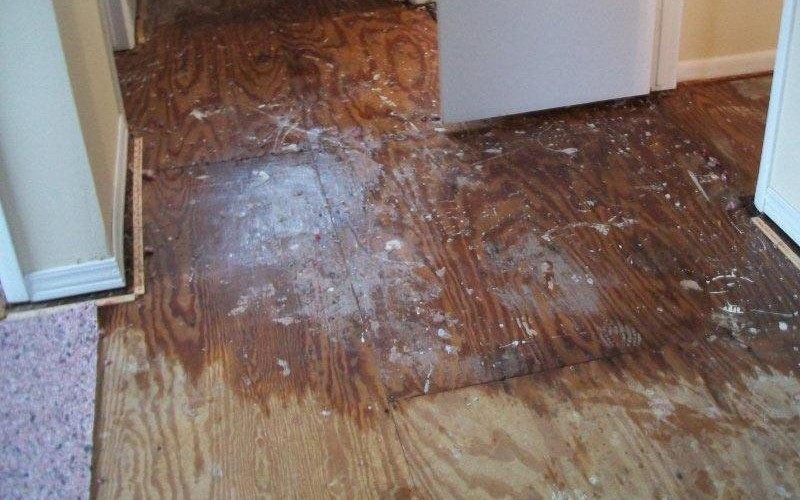 #Why is it important to let professionals deal with water damage?