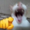 cux82pd.png