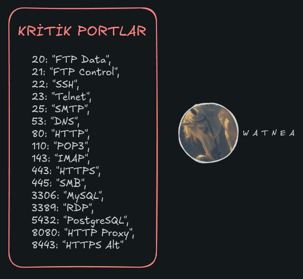 d7robof.png
