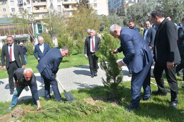 Xətai rayonunda “Yaşıl Dünya naminə həmrəylik ili” çərçivəsində növbəti ağacəkmə aksiyası keçirilib – FOTO