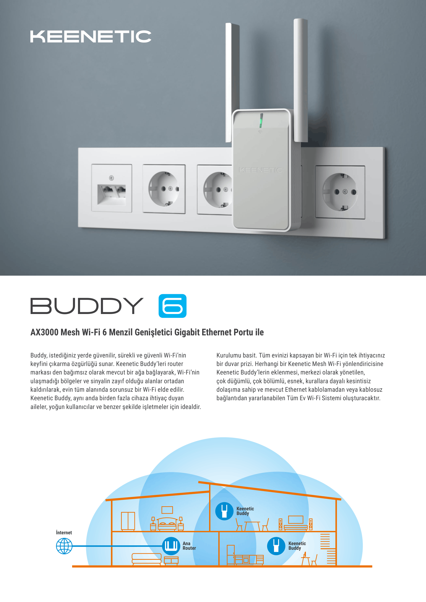 buddy 6