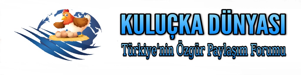 Kuluçka Dünyası