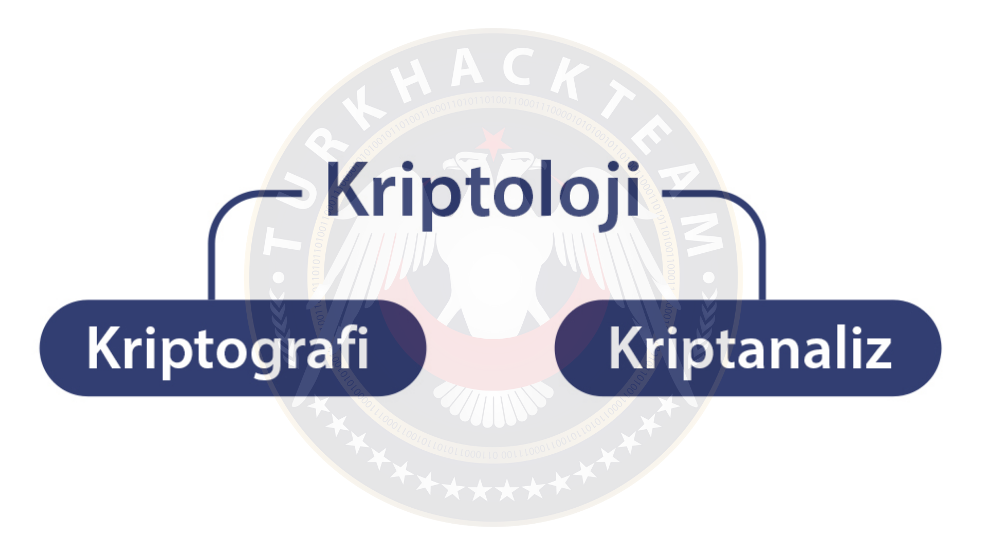 dtubjak.png