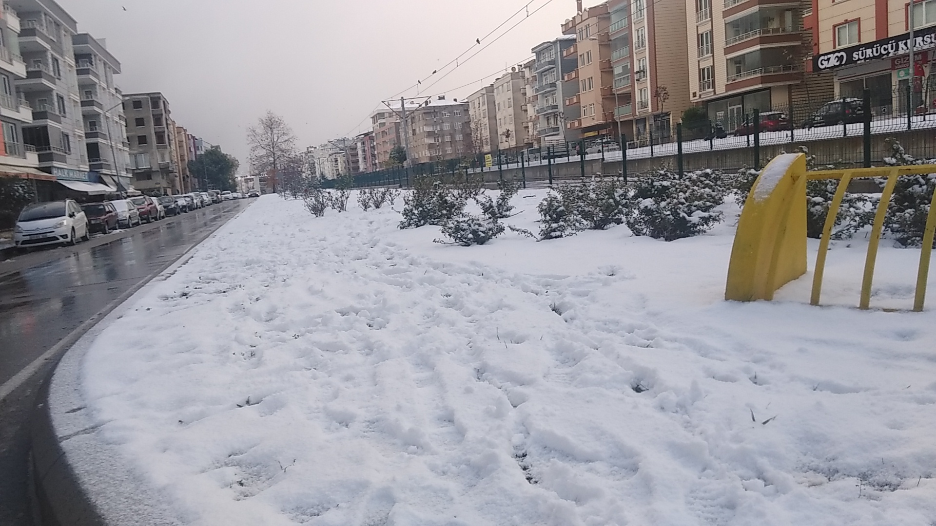 dzenh7k.jpg