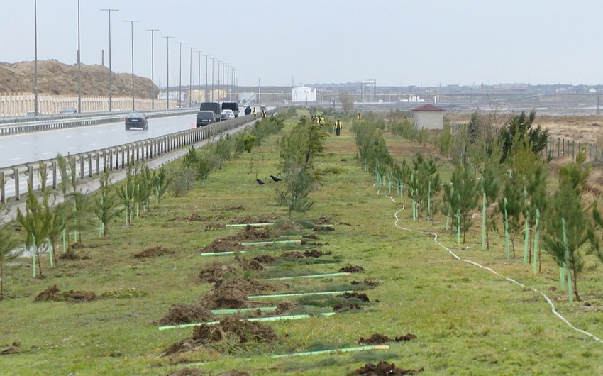 Zığ dairəsi-Hava Limanı yolunda sürət həddi bərpa edilib