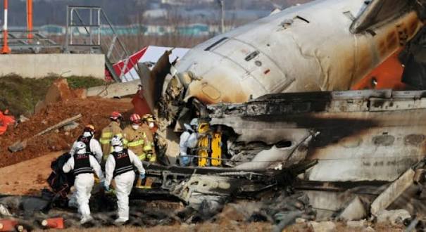 Jeju Air Flight 2216: Bird Strike, Gear-Up Landing and the Muan Airport Crash