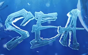 SeaSRO
