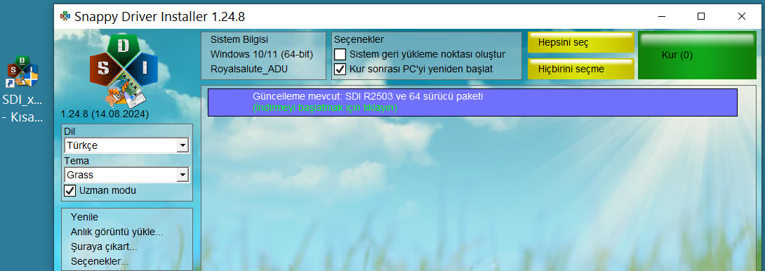 Resim