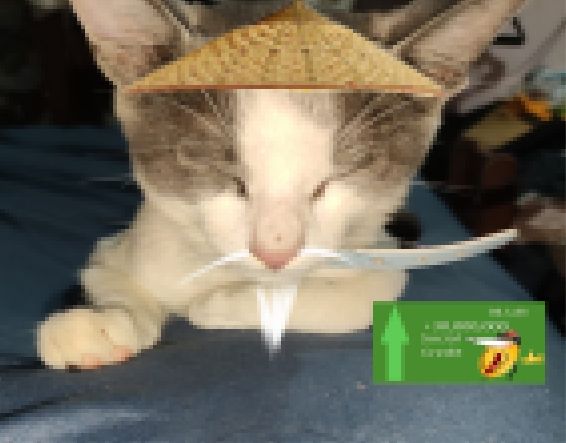 gtf14te.jpg