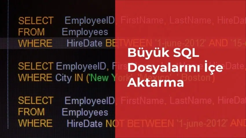 hjtchdb.jpg
