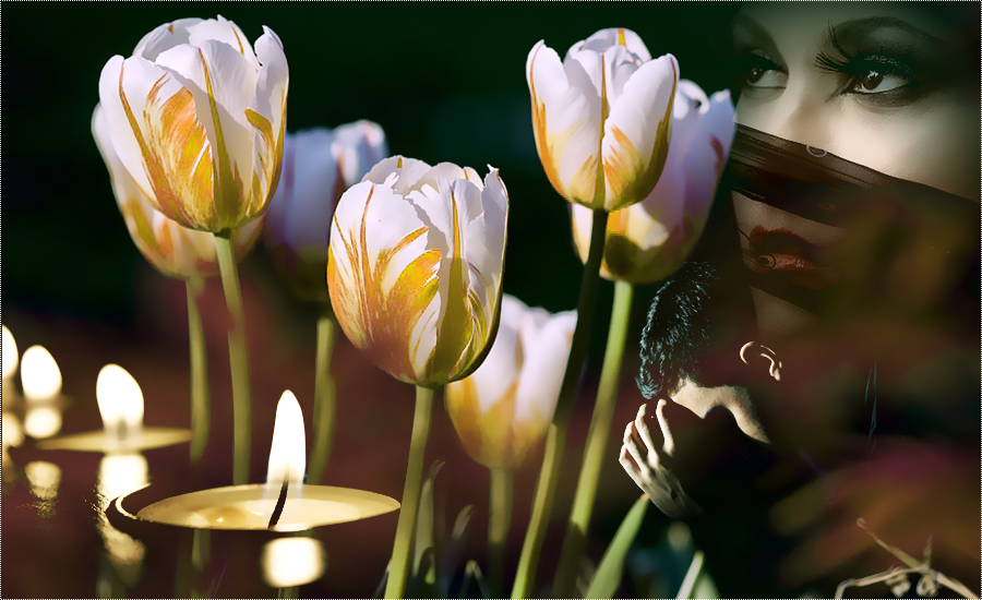 Photoshop Cs6 Mixed