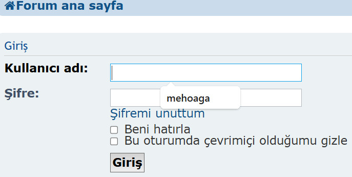 Resim