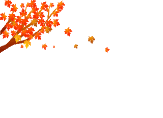 ✱♛✿ HeLLo AuTuMn ♛✿✱