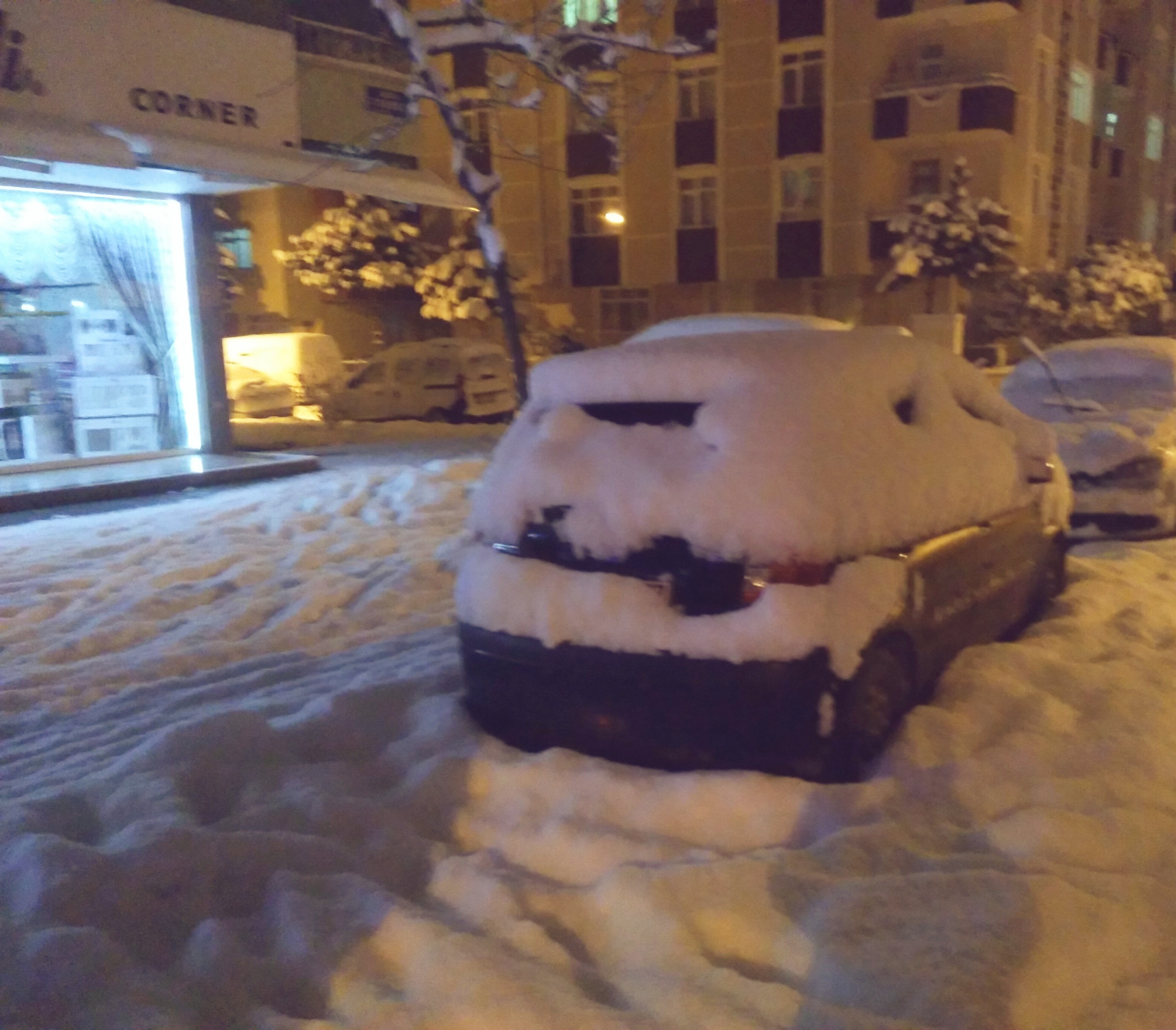 ii10030.jpg