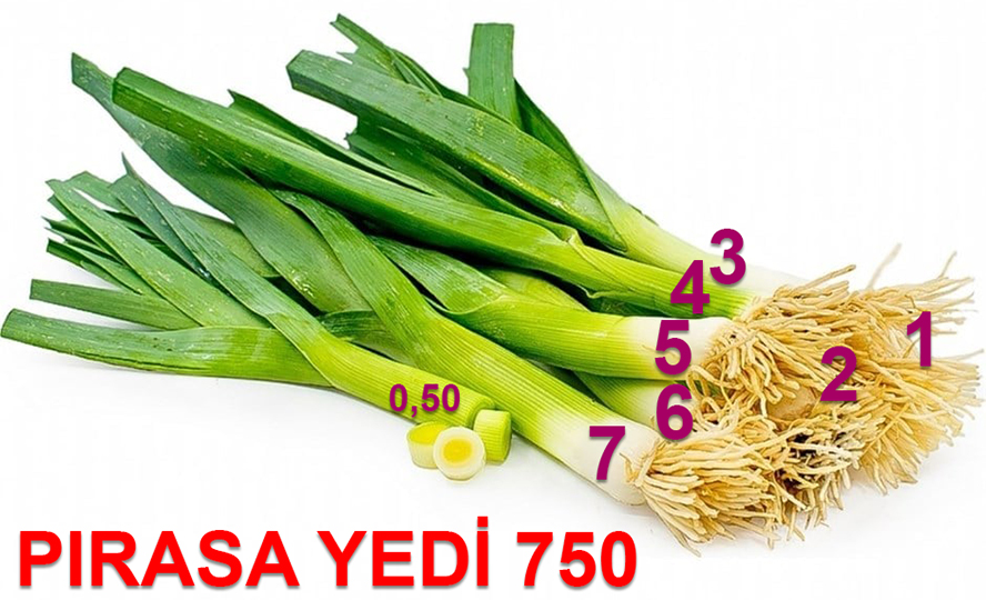 ipp9bcc.jpg