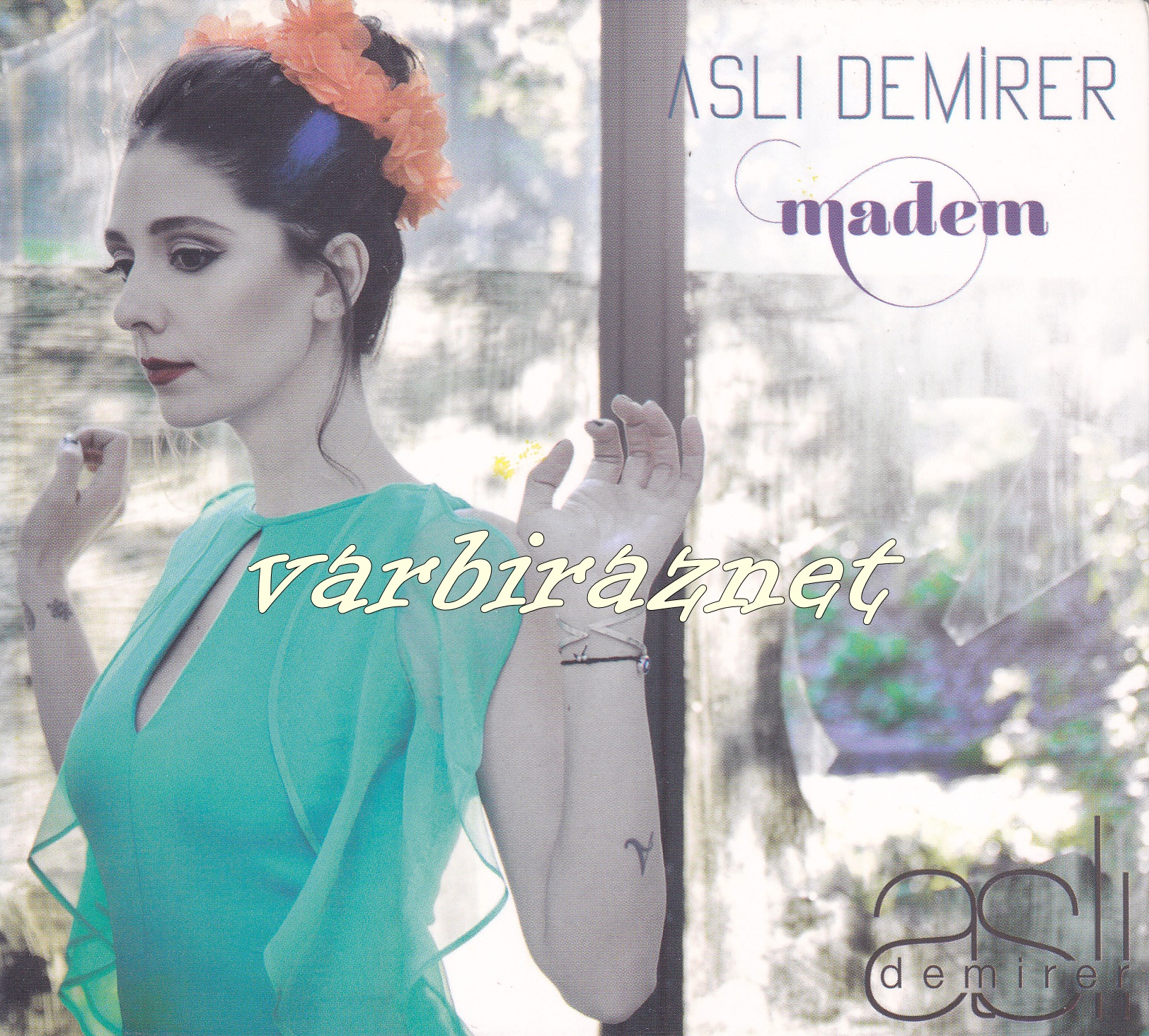 Resim