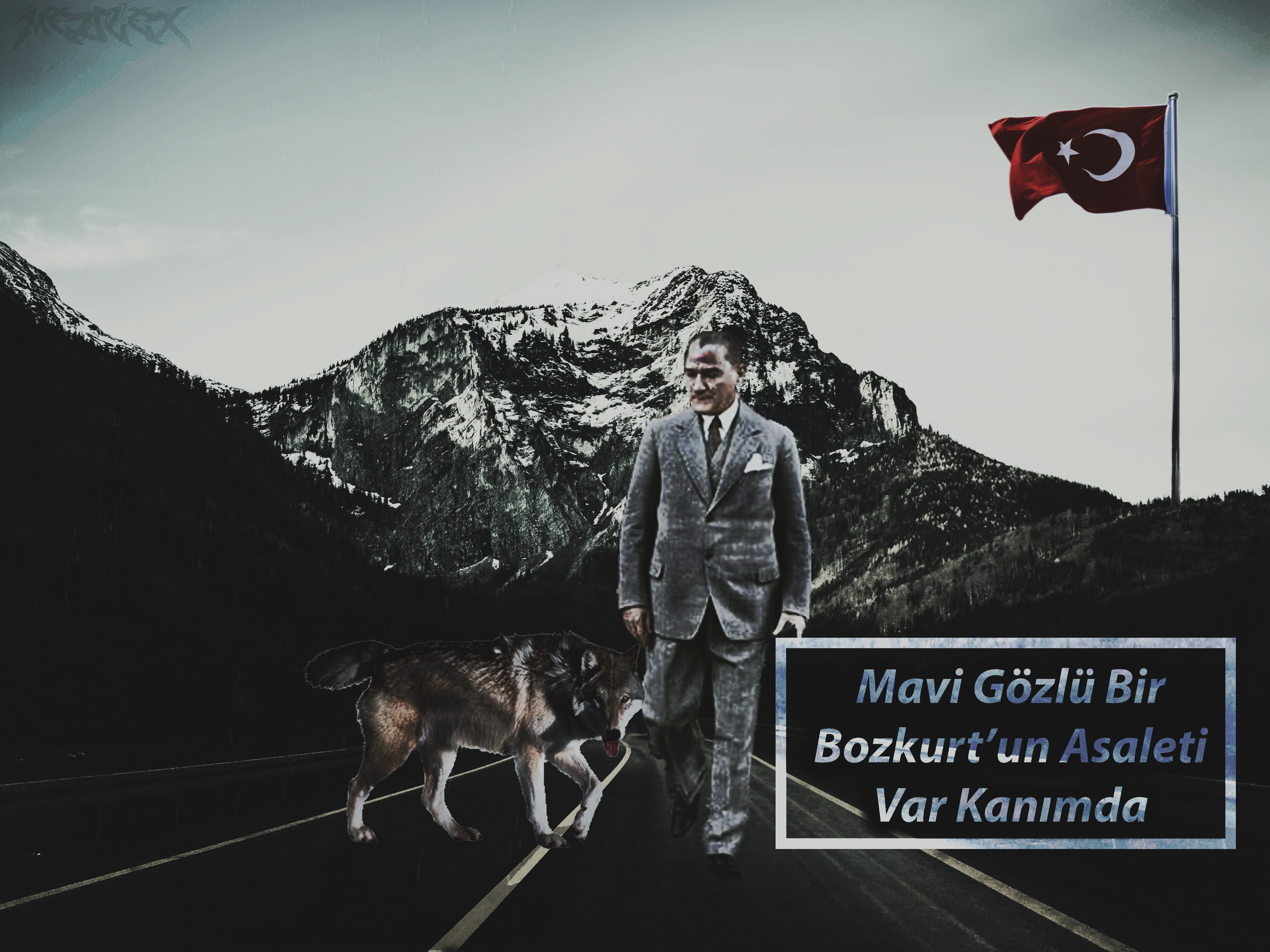 jQBonn.jpg