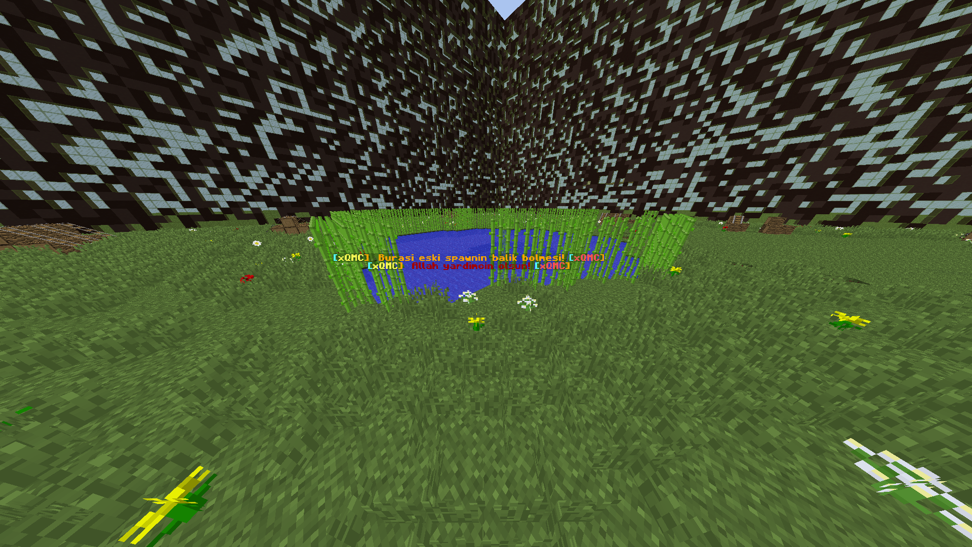jQP2Nn.png