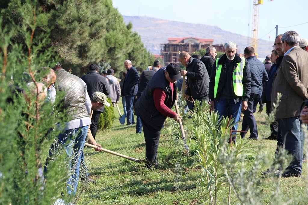 Salyan şossesində genişmiqyaslı ağacəkmə aksiyası keçirildi