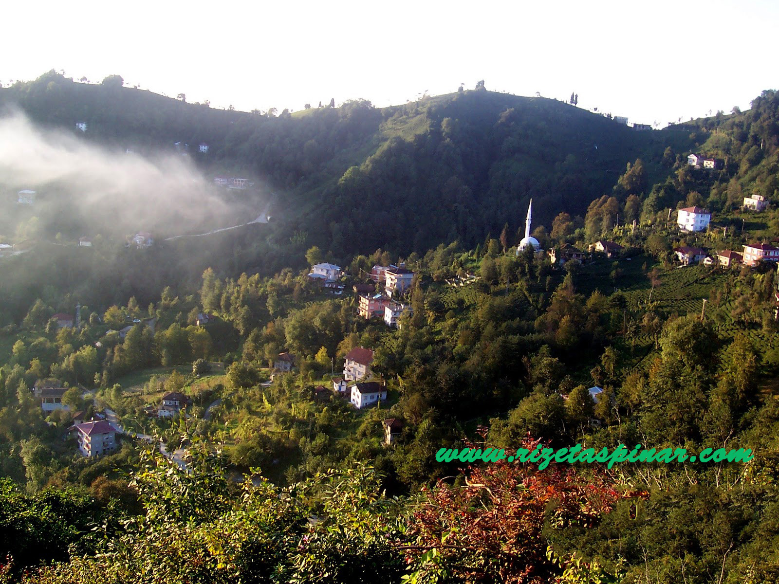 Resim Yükle