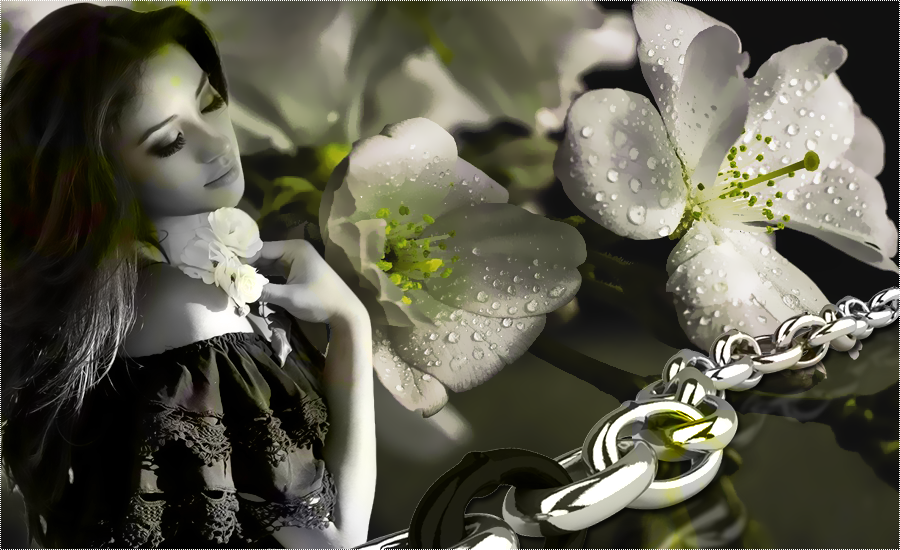 Photoshop Cs6 Mixed