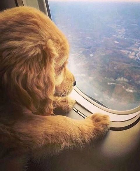 k9jXDy.jpg