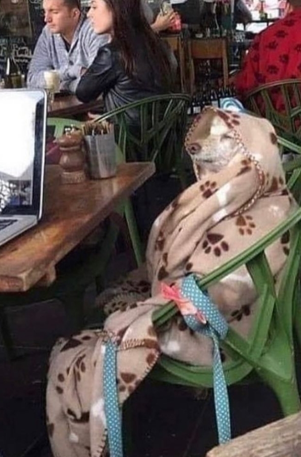kfchuqb.jpg