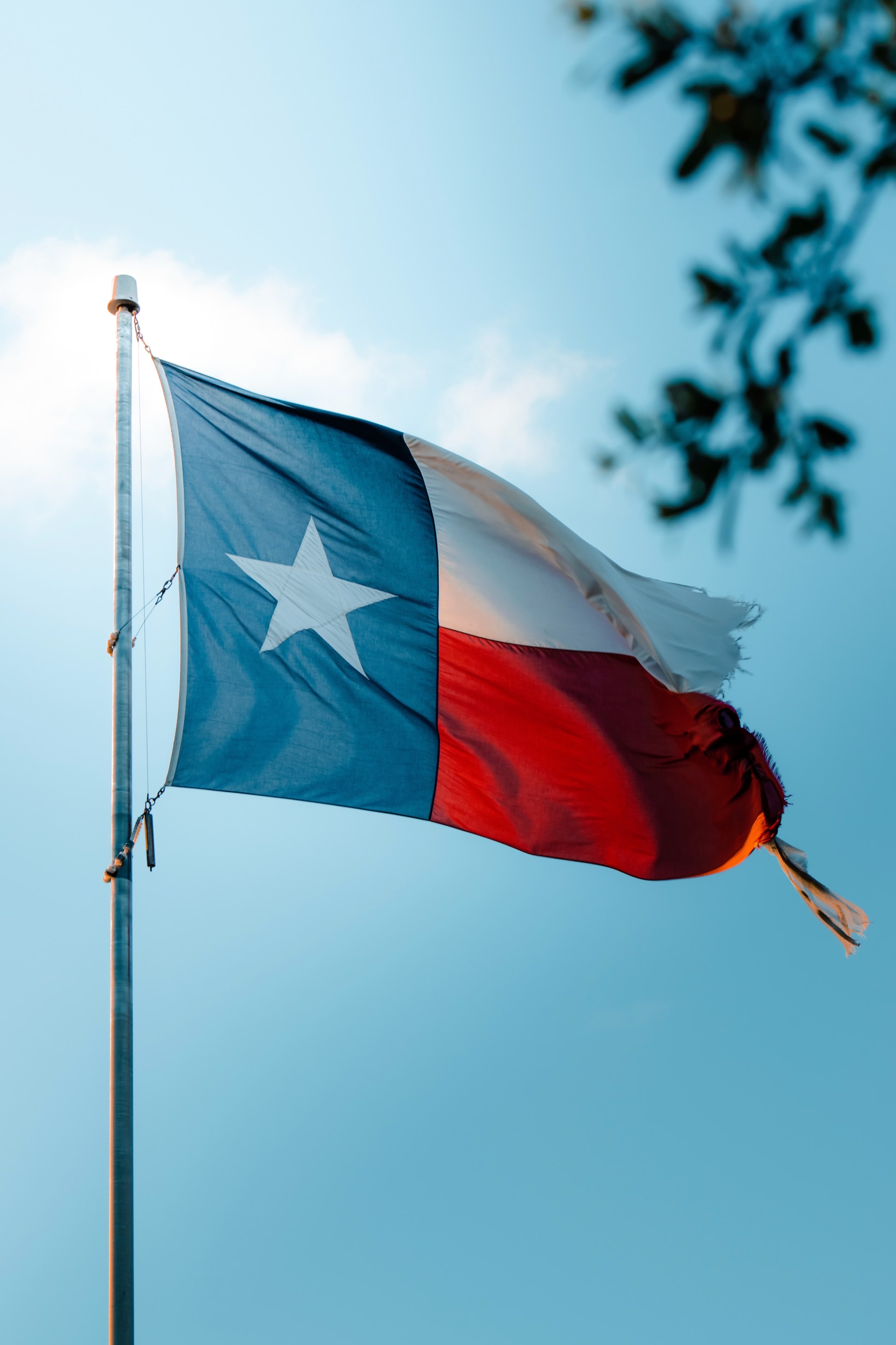 #10 Things to Expect When Moving to Texas