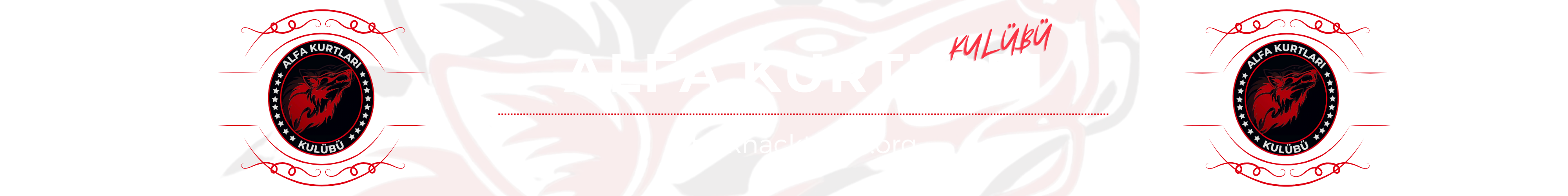 kui0jhe.jpg