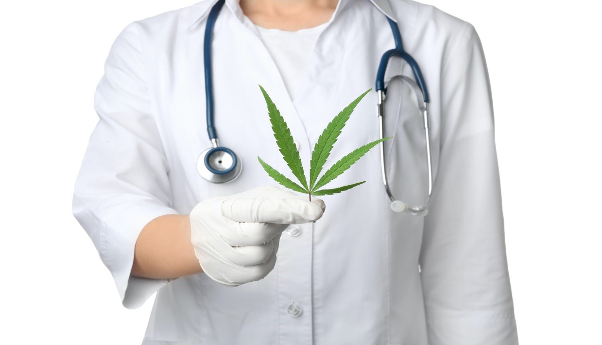 #Know The Process Of Medical Marijuanas Alaska