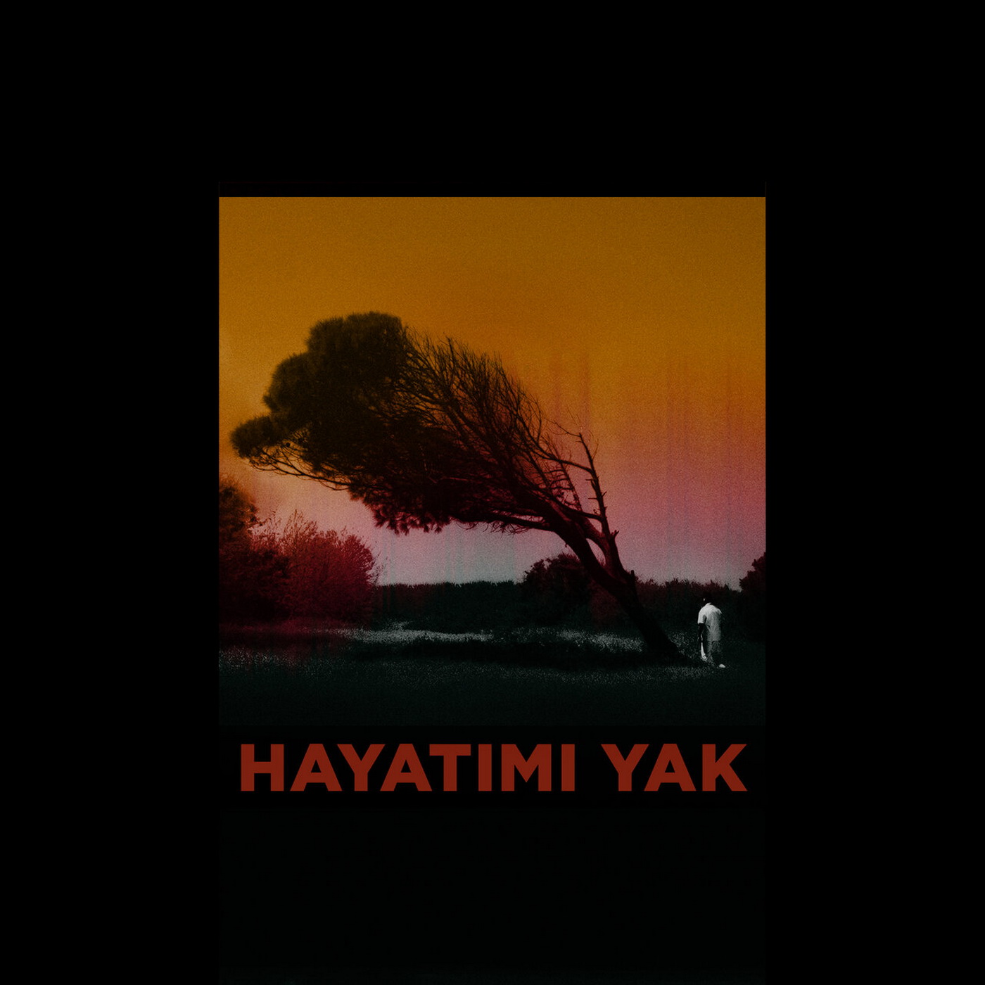 Resim
