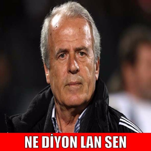 lbElEB.jpg