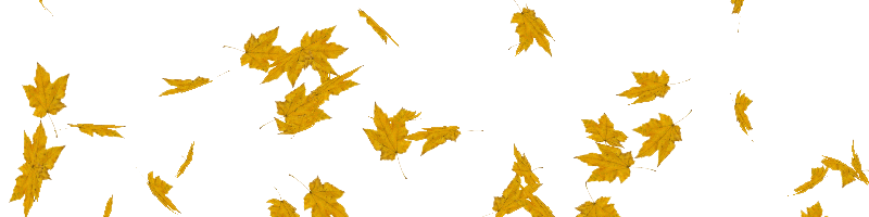 кöђภəl๓เş թคץız