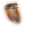 lz361cg.png