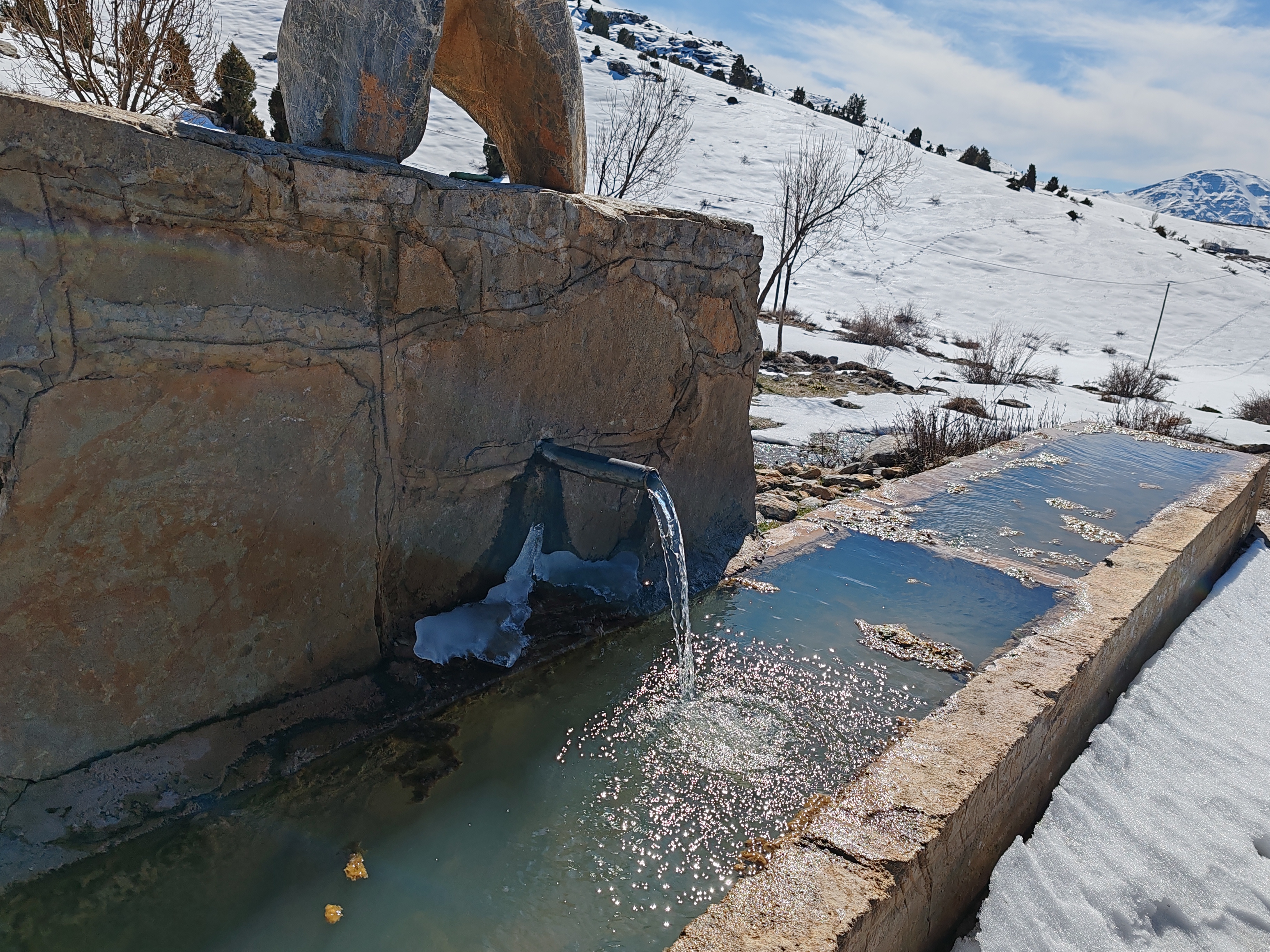mf5w5c6.jpg