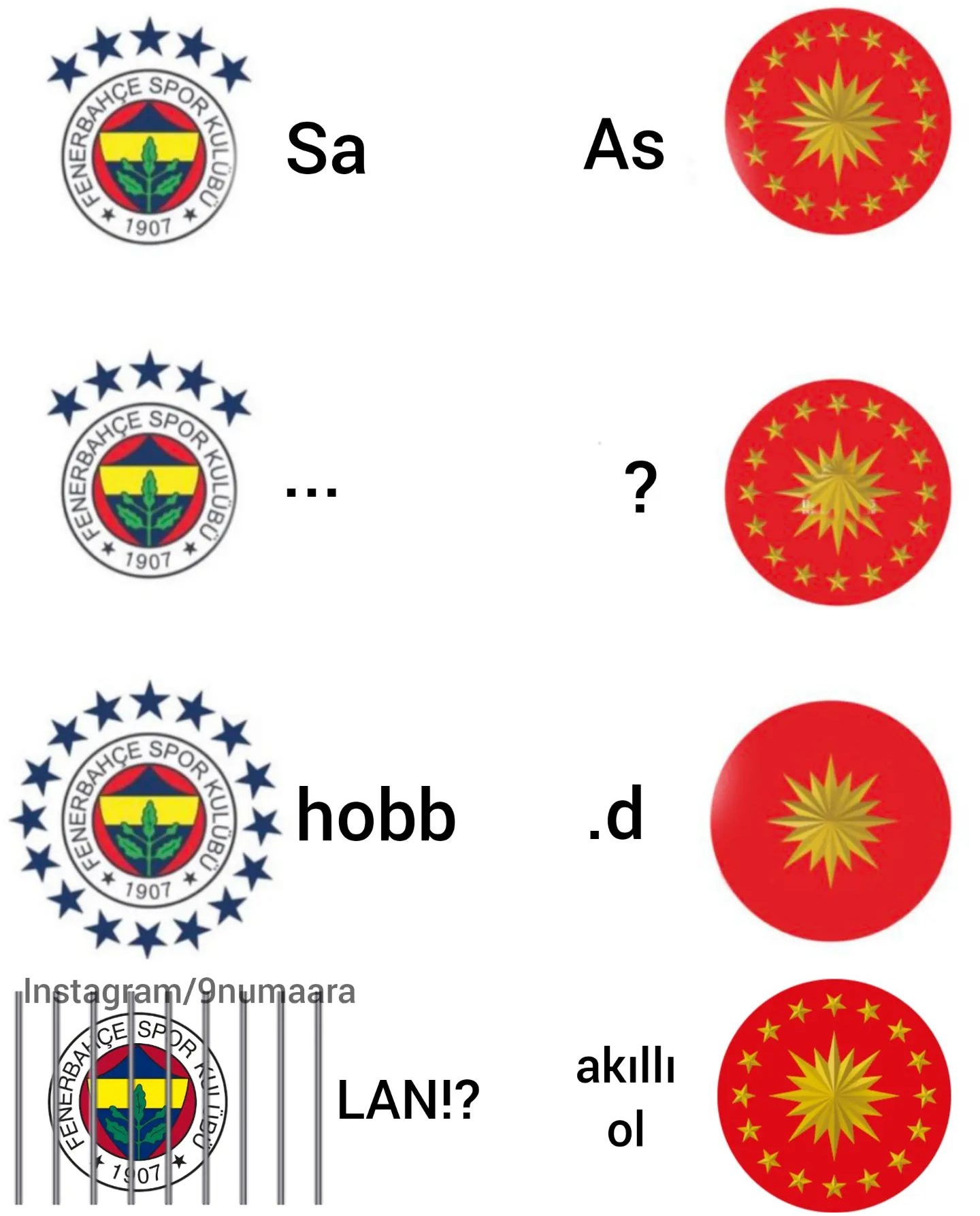 ms210d9.jpg