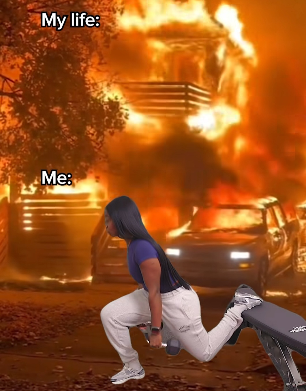 msifrvw.jpg
