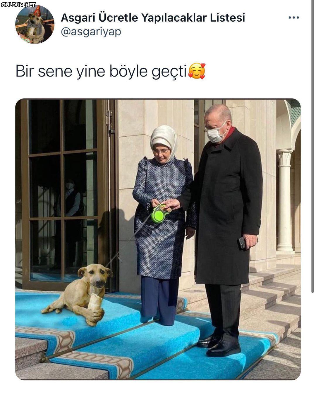 mvanhh4.jpeg
