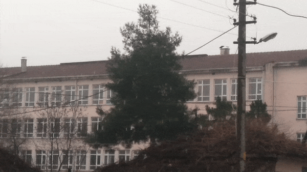 nQra6N.gif