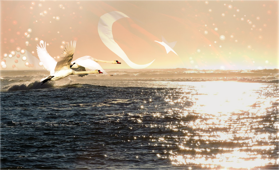 Photoshop Cs6 Mixed